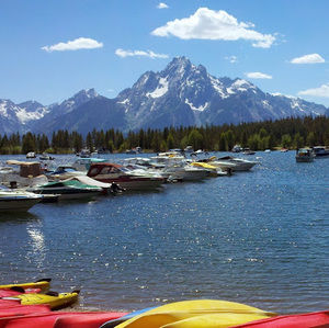 Meet your Posher, Will